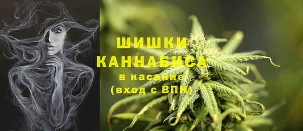 сатива Абаза