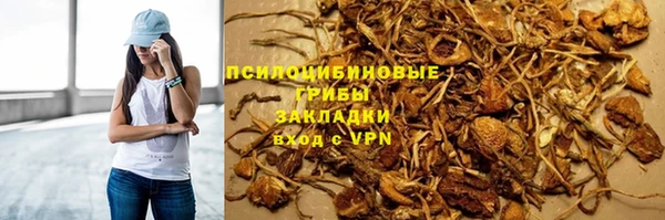 дурь Алексеевка