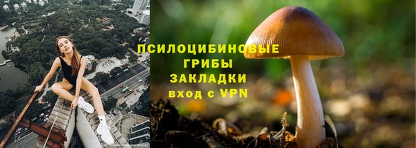 кокаин премиум Дмитриев