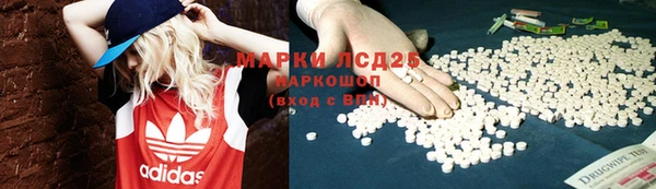 apvp Дмитров